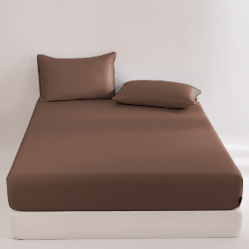 Fitted Bed Sheets Deep Pocket - Hoeslaken 100% Eucalyptus Lyocell Zijdeachtig Koelend